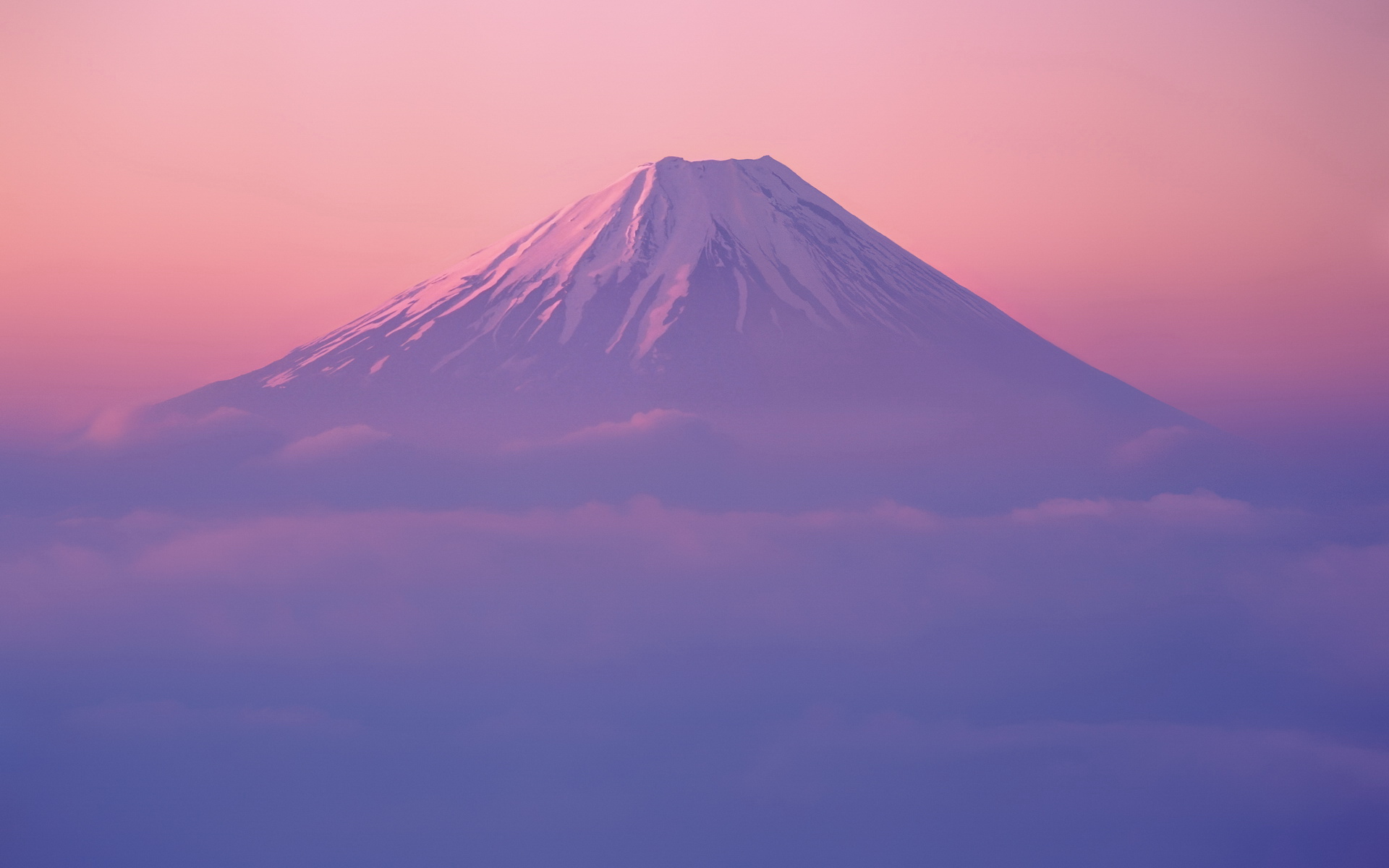 Cocoon_background_Color 9.jpg